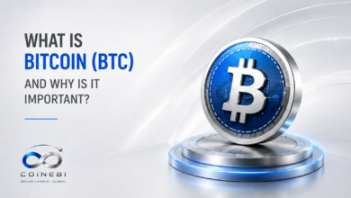 What is Bitcoin BTC and why is it important