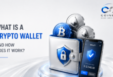 What is a crypto wallet and how does it work beginner guide