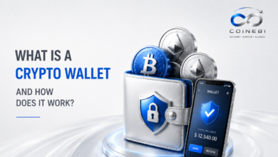 What is a crypto wallet and how does it work beginner guide
