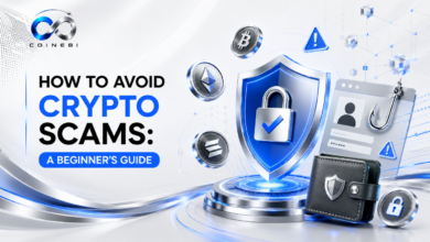 how to avoid crypto scams beginner guide